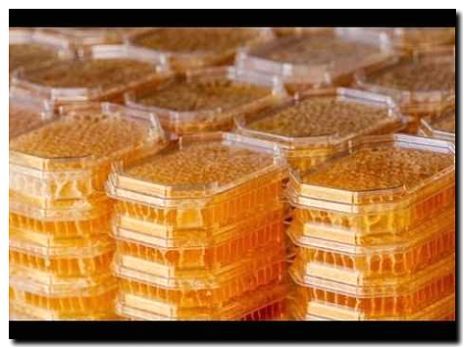 Реклама и продвижение продажи медовых сот и сотового меда