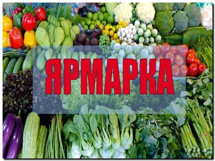 Реклама и продвижение продажи овощей через ярмарки и рынки