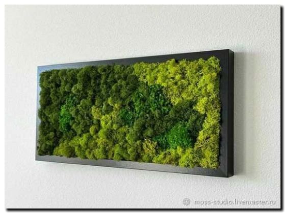 Реклама и продвижение продажи панно из стабилизированного мха