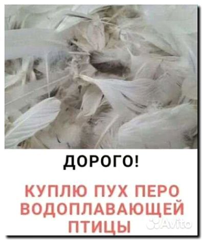 Реклама и продвижение продажи пера и пуха