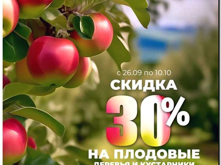 Реклама и продвижение продажи плодовых деревьев и кустарников