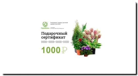 Реклама и продвижение продажи подарочных сертификатов на растения