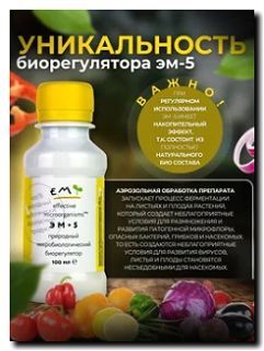 Реклама и продвижение продажи препаратов для лечения болезней растений