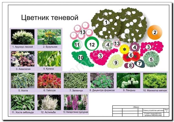 Реклама и продвижение продажи растений-многолетников и однолетников
