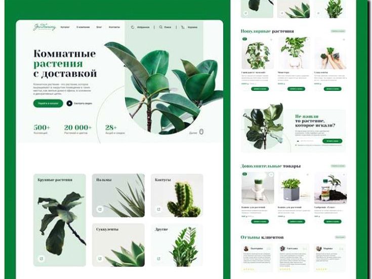 Реклама и продвижение продажи редких и коллекционных комнатных растений