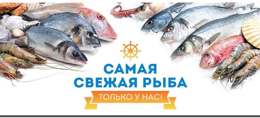 Реклама и продвижение продажи рыбных полуфабрикатов