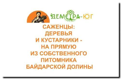 Реклама и продвижение продажи саженцев деревьев и кустарников