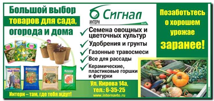 Реклама и продвижение продажи семян цветов