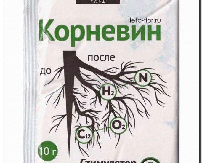 Реклама и продвижение продажи стимуляторов роста и корнеобразования