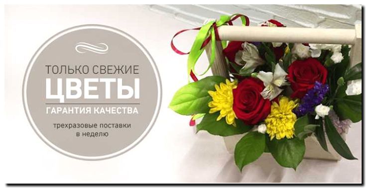 Реклама и продвижение продажи цветов оптом