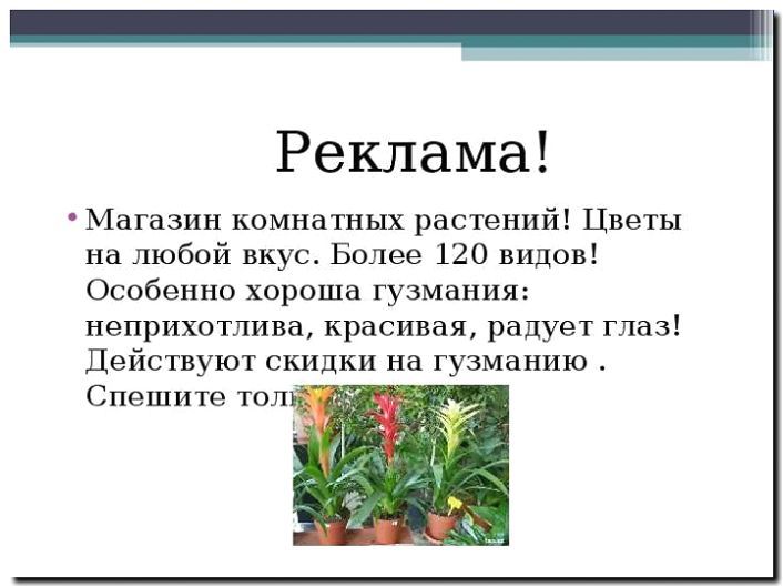 Реклама и продвижение продажи цветущих комнатных растений