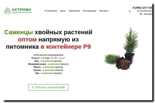 Реклама и продвижение продажи хвойных растений