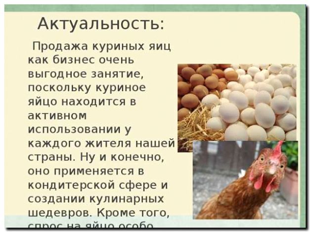Реклама и продвижение продажи яиц