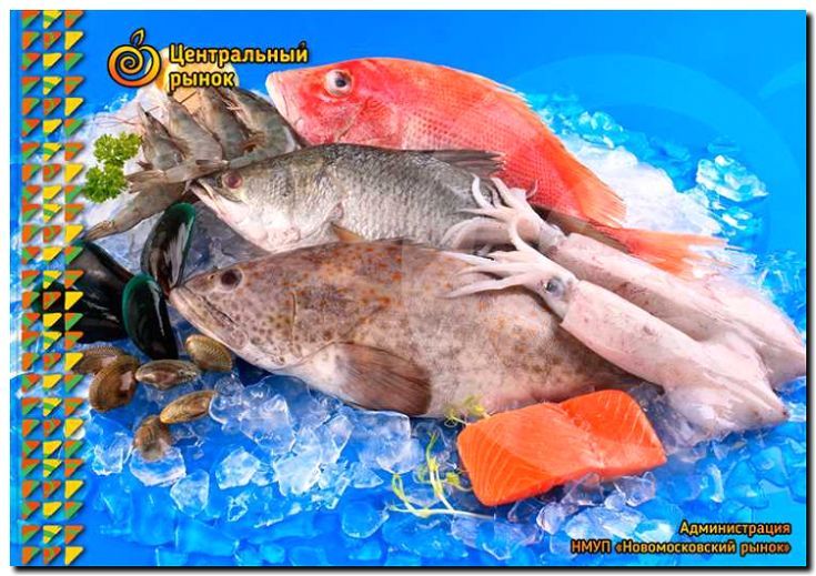 Реклама и продвижение продажи замороженной рыбы и морепродуктов