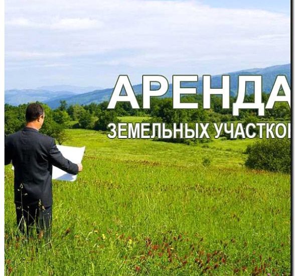 Реклама и продвижение продажи земель сельхозназначения