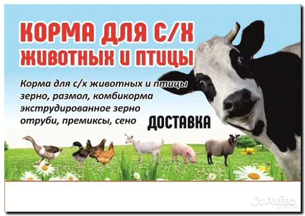 Реклама и продвижение производства и продажи комбикормов