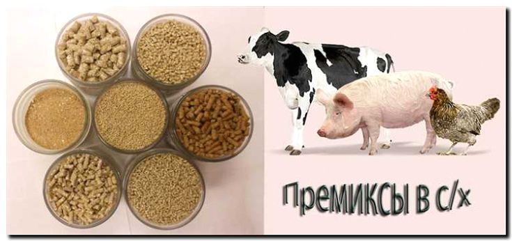 Реклама и продвижение производства и продажи кормов и витаминов