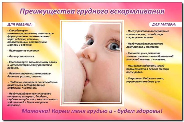 Реклама и продвижение производства и продажи товаров для грудного вскармливания