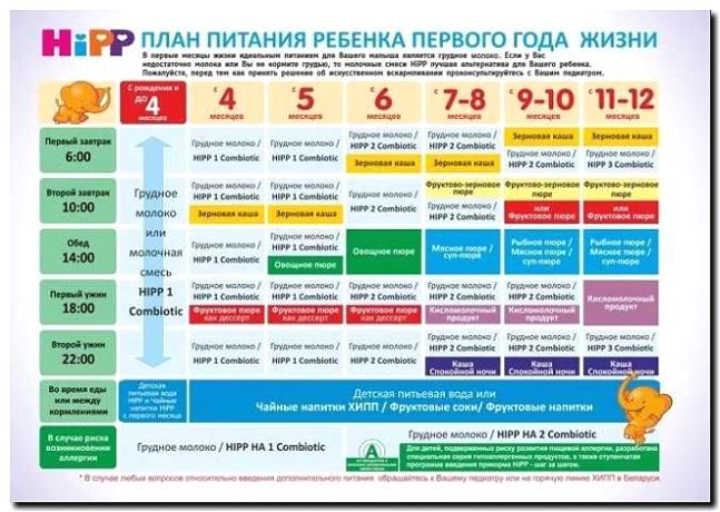 Реклама и продвижение производства и продажи устройств для введения прикорма