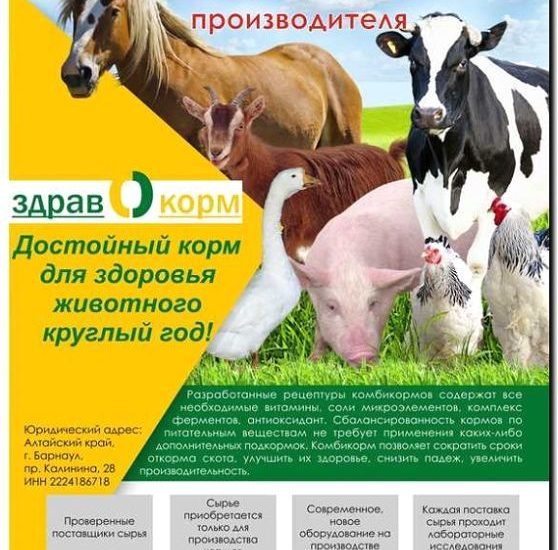 Реклама и продвижение производства кормов для животных