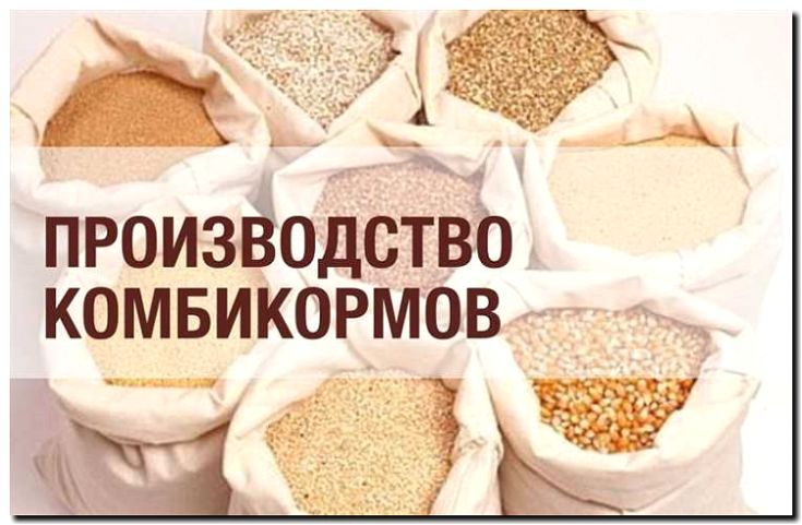 Реклама и продвижение производства кормов и прикормок