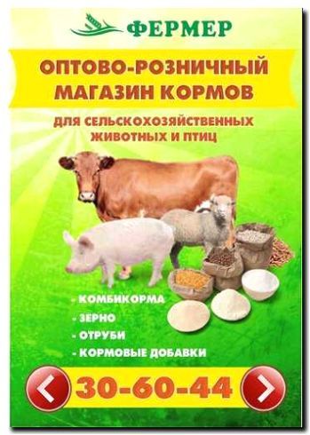 Реклама и продвижение производства кормов