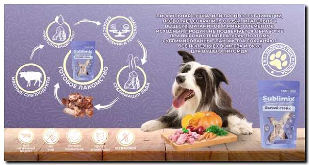 Реклама и продвижение производства лакомств для животных