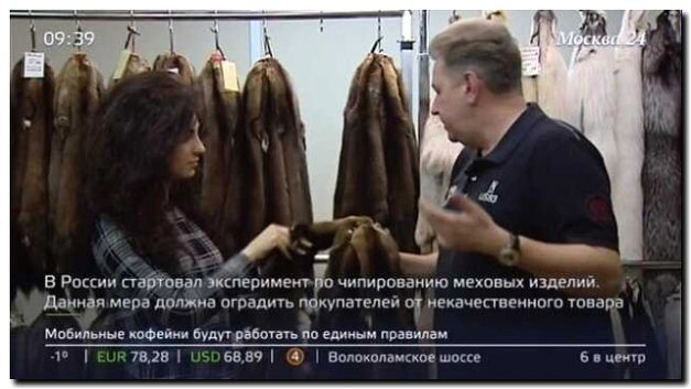 Реклама и продвижение производства меховых изделий
