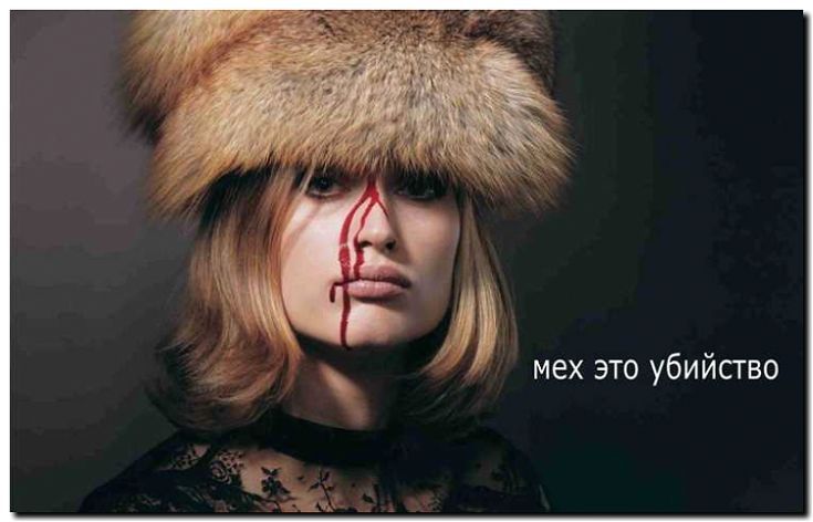 Реклама и продвижение производства одежды из кожи и меха