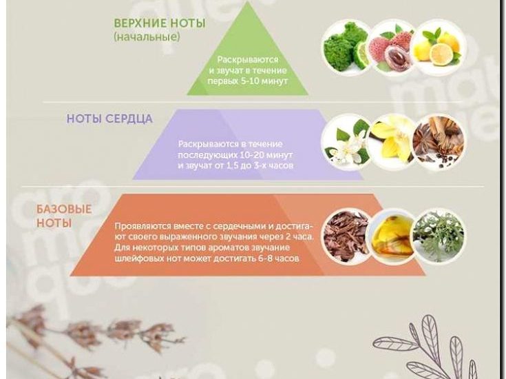 Реклама и продвижение производства парфюмерных композиций