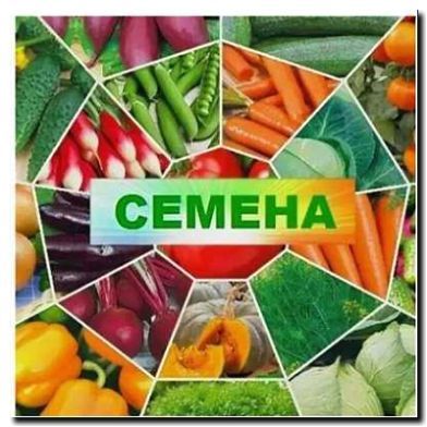 Реклама и продвижение производства семян