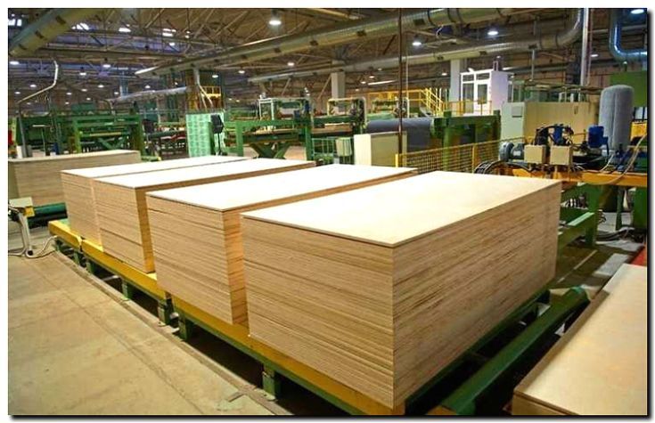 Реклама и продвижение производства шпона и фанеры