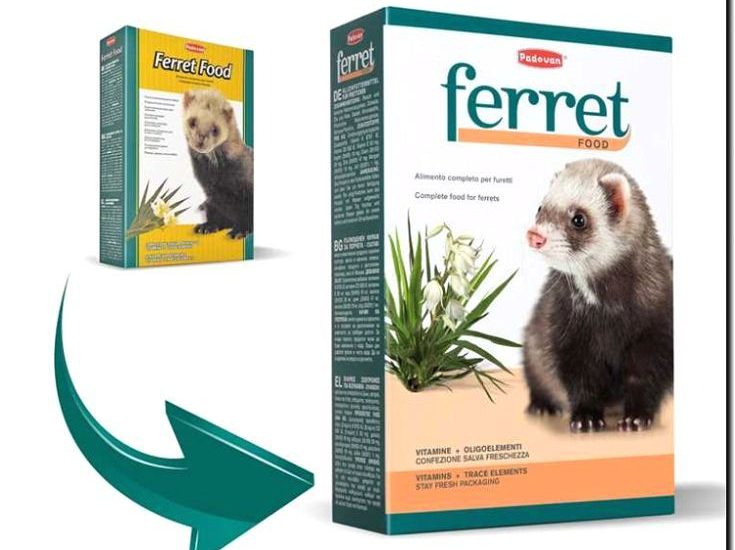 Реклама и продвижение производства специализированных кормов для хорьков