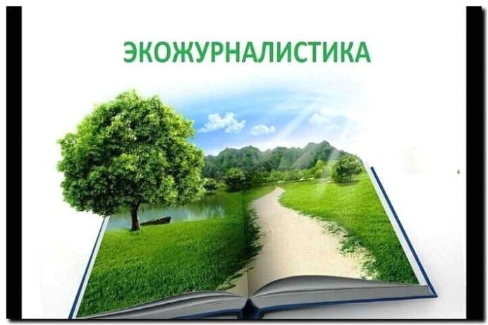 Реклама и продвижение просветительских программ по экологии