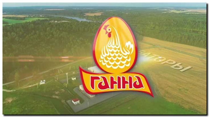 Реклама и продвижение птицефабрики