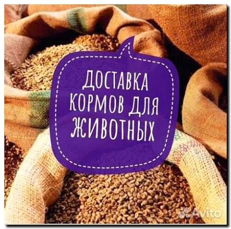 Реклама и продвижение разведения и продажи кормов