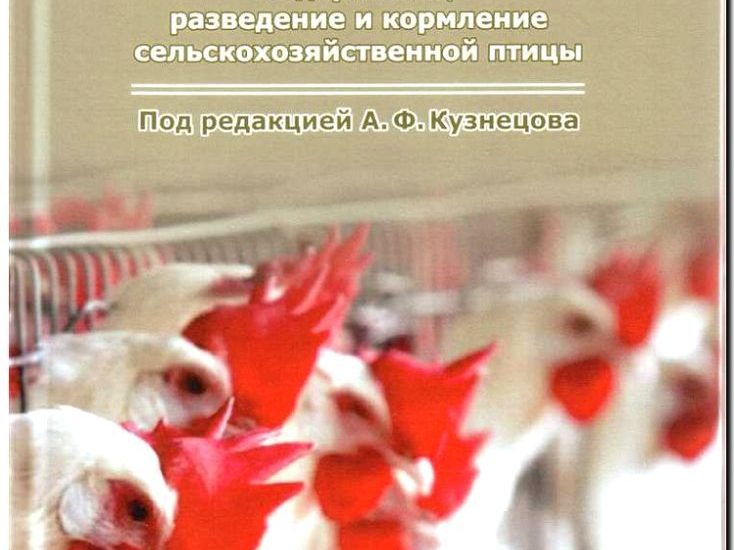 Реклама и продвижение разведения сельскохозяйственной птицы
