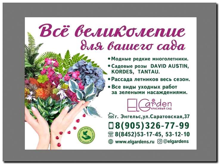 Реклама и продвижение садового центра