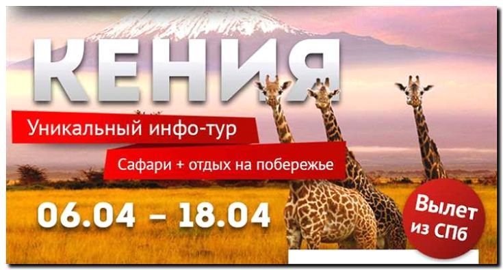 Реклама и продвижение сафари-туров