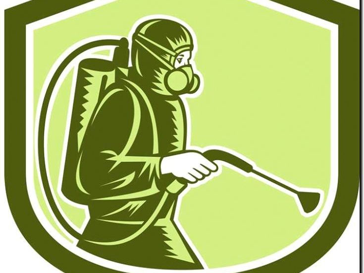 Реклама и продвижение санитарной резки