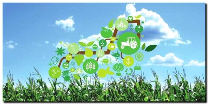 Реклама и продвижение сельскохозяйственных комплексов