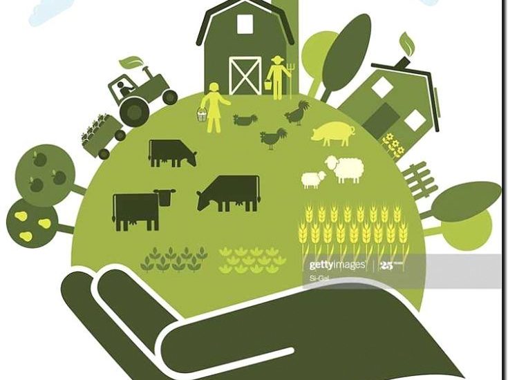 Реклама и продвижение сельскохозяйственного предприятия