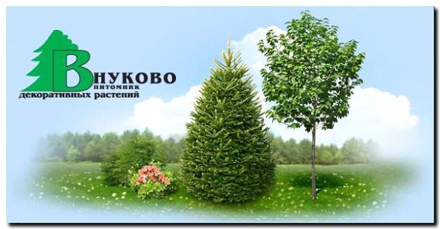 Реклама и продвижение семеноводства и питомников растений