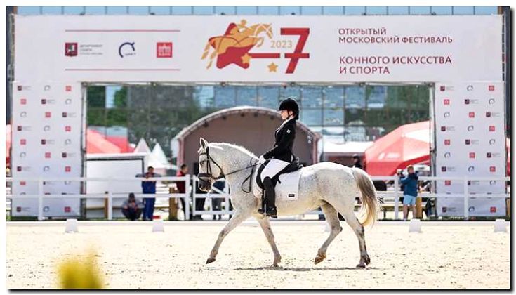 Реклама и продвижение школы верховой езды