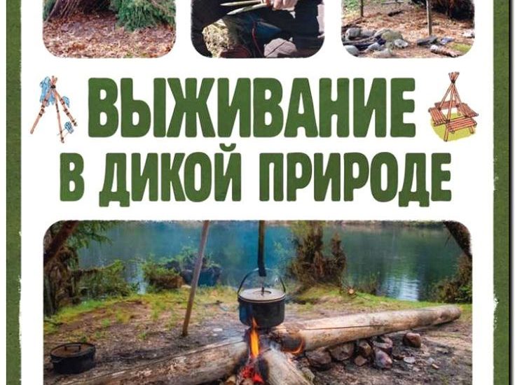 Реклама и продвижение школы выживания в дикой природе