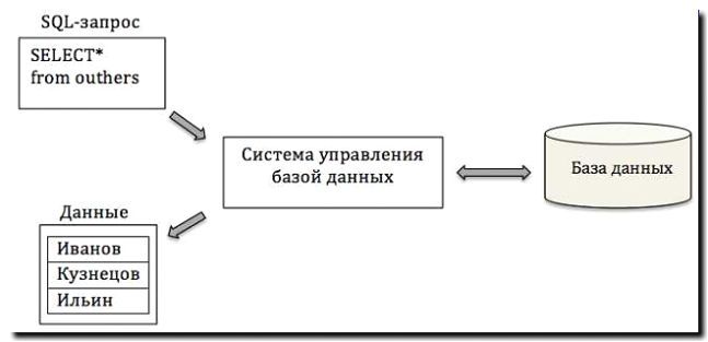 Реклама и продвижение создания базы данных объектов