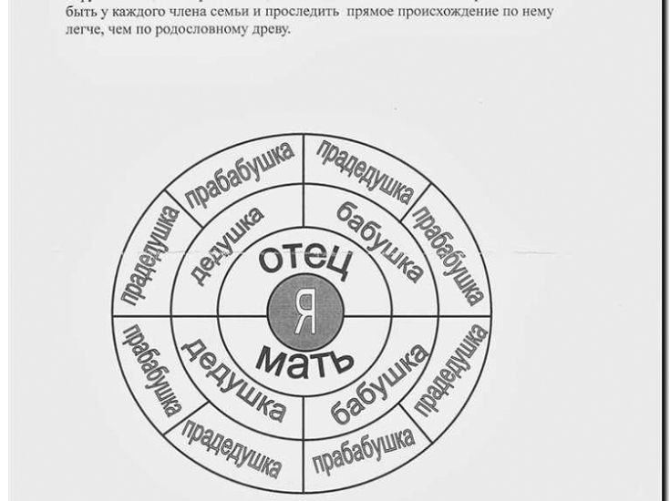 Реклама и продвижение создания родословных и паспортов