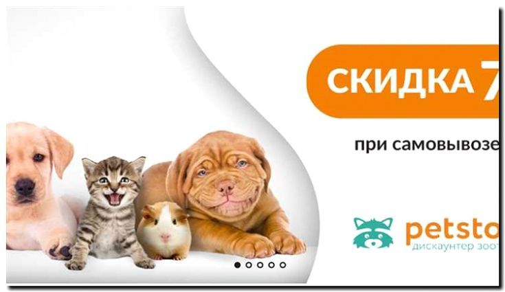 Реклама и продвижение специализированного магазина для собак