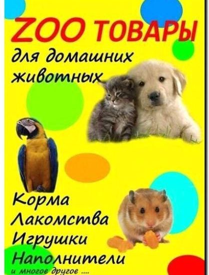 Реклама и продвижение специализированного отдела в зоомагазине