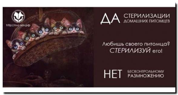 Реклама и продвижение стерилизации помещений
